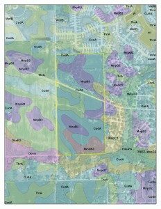 soil info